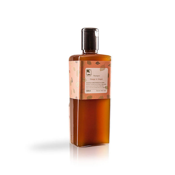 薑心比心 甜薑丹橘洗髮精 (360ml/500ml) 台灣品牌 香港行貨